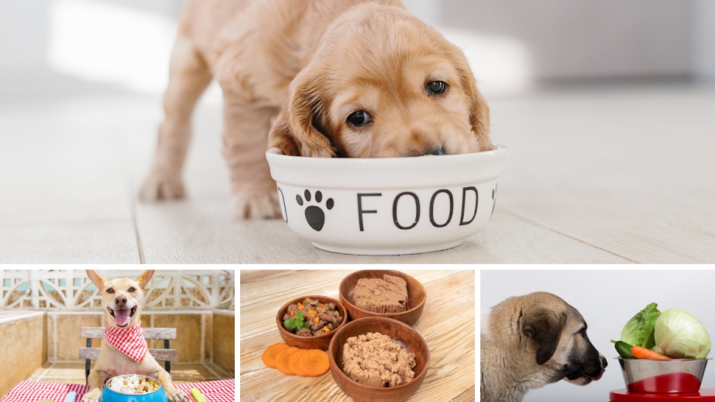 4 Healthy Puppy Foods Every Dog Owner Should Consider